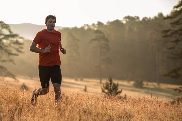 istock Morning jogging in a field 1253646019