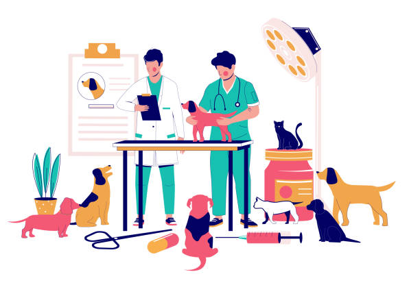 ilustraciones, imágenes clip art, dibujos animados e iconos de stock de servicios de clínica veterinaria, ilustración de diseño de estilo plano vectorial - pets dog office vet