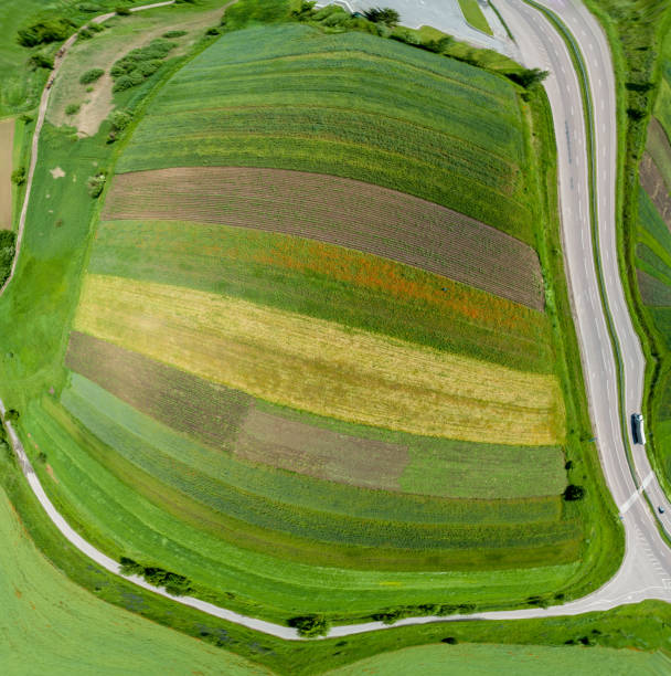 istock Abstract agricultural landscape. Top view, spherical panorama. Arable colorful fields with young shoots wheat on a sunny day 1253649605