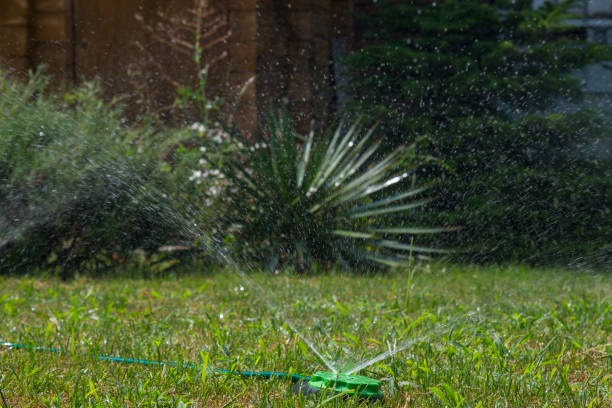 istock Spraying water on green lawn 1253650528