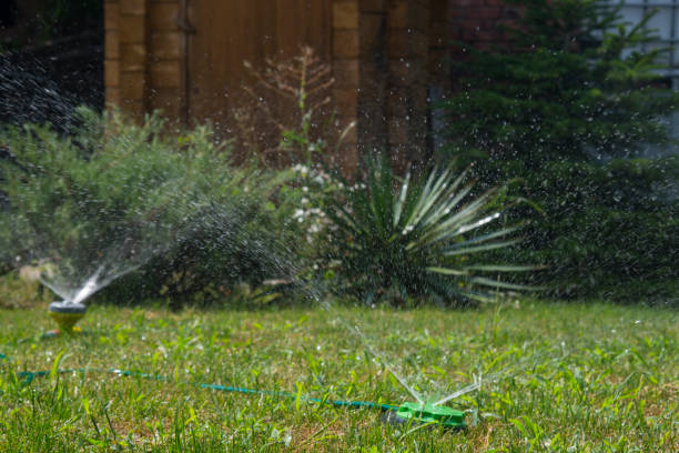 istock Spraying water on green lawn 1253651174