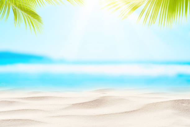 istock Blur beautiful nature green palm leaf on tropical beach with bokeh sun light wave abstract background. 1253651743