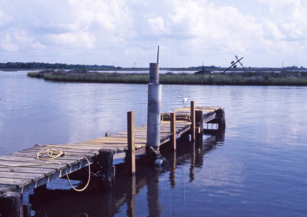 istock wooden pier 1253652798