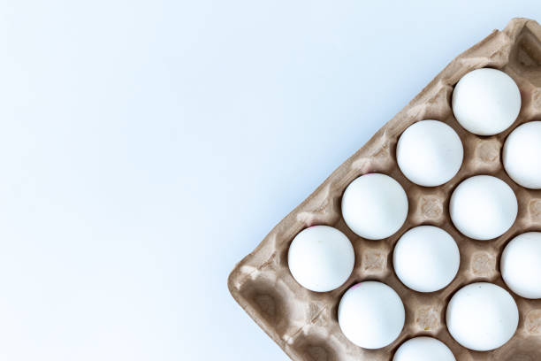 istock yellow broken egg. Broken eggs in the container. village eggs. delicious eggs for the kitchen. delicious breakfast with morning breakfast. 1253653436
