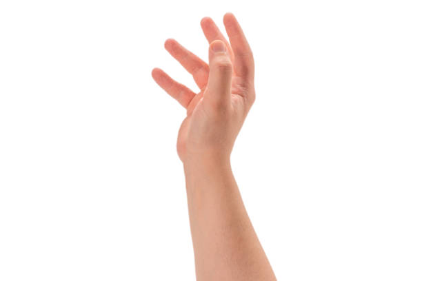 istock Male hand isolated on white. 1253653451
