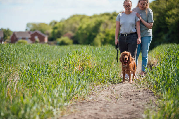 istock Walks With Our Dog 1253653558