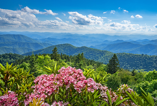 Appalachian Blue Ridge Mountains seen from Skyline drive. The mountains are well known for their bluish color when seen from a distance. Trees put the \