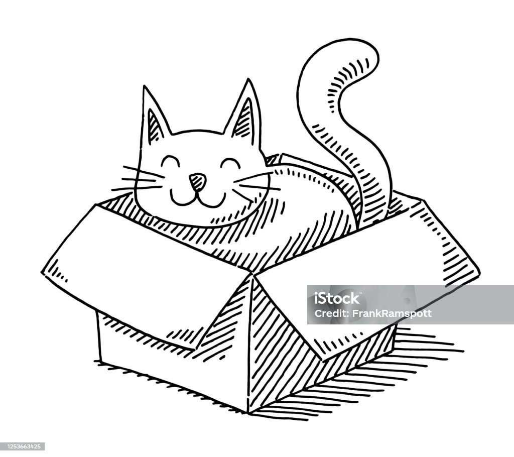 Cartoon Cat In A Cardboard Box Drawing Stock Illustration - Download Image  Now - Domestic Cat, Box - Container, Cartoon - iStock