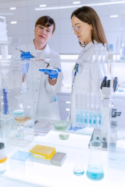 istock Female team studying leech. Preparing natural medicine. Modern Lab. Close up 1253665071
