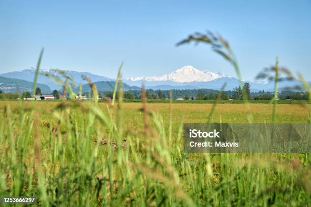 Fraser Valley Mt Baker View Stock Photo - Download Image Now - Washington State, Mt Baker, Canada