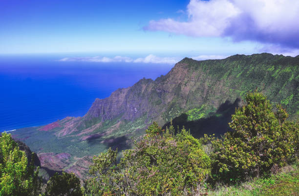 istock The Napali Coast on Kauai, Hawaii 1253666331