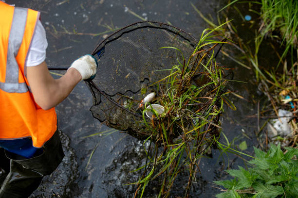 Cleaning the lake from garbage Cleaning the lake from garbage greenpeace activists stock pictures, royalty-free photos & images