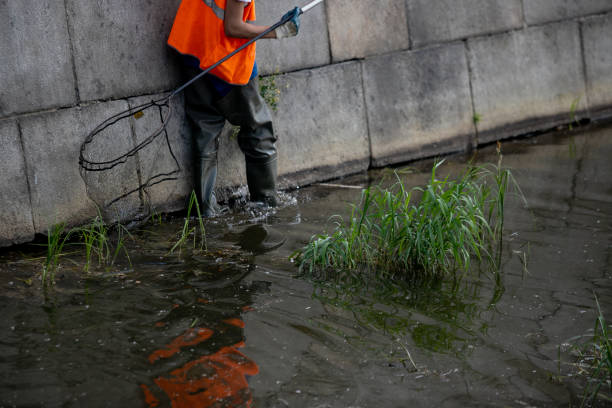 Cleaning the lake from garbage Cleaning the lake from garbage greenpeace activists stock pictures, royalty-free photos & images