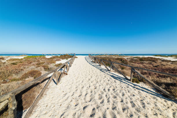 istock wooden fence in Le Saline beach 1253668119