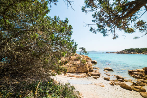 istock beautiful view of Capriccioli beach 1253668227