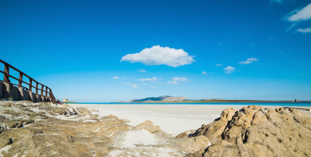 istock La Pelosa beach on a beautiful sunny day 1253668509