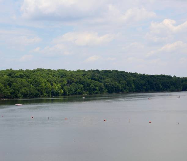 istock Lake on a Sunny Day 1253668631