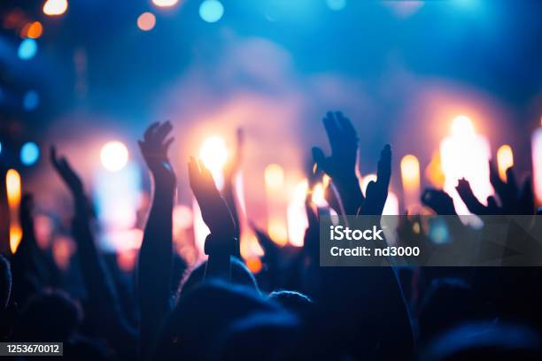 Picture Of Party People At Music Festival Stock Photo - Download Image Now - Party - Social Event, Crowd of People, Music Festival