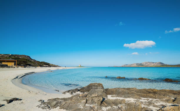 istock turquoise sea in La Pelosa beach 1253670019