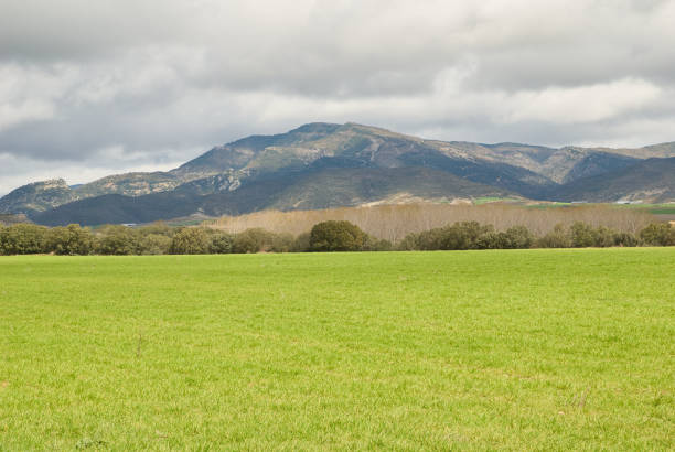 Green landscape in Spain