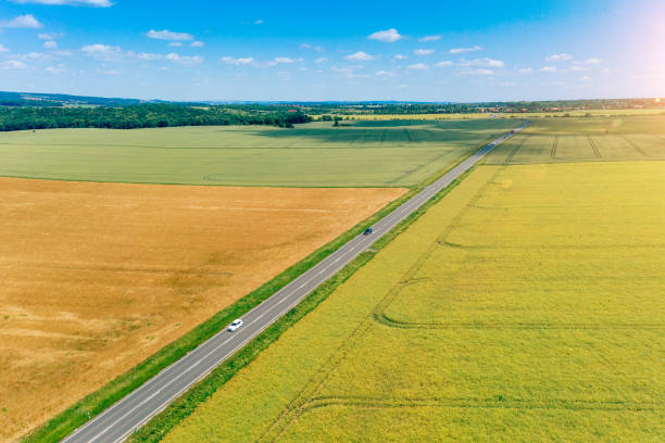 country road between fields - growth tree spirituality tranquil scene imagens e fotografias de stock