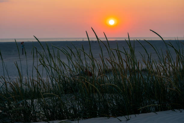 istock The setting sun in the dunes of St. Peter Ording 1253676732