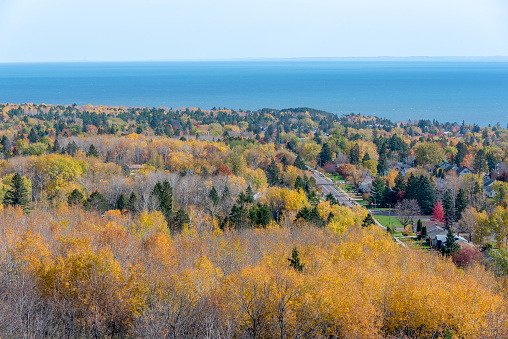 Minnesota, Autumn, Lake Superior, Fall colors, Tree