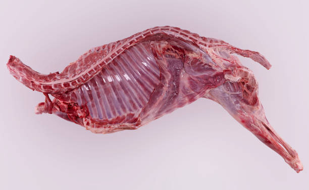 carne de cordero entera cruda. - lamb isolated meat animal bone fotografías e imágenes de stock