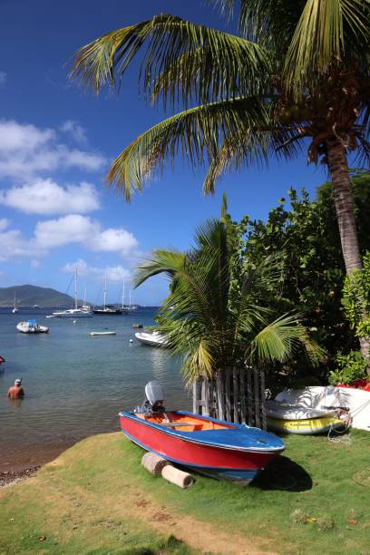 istock Terre de Haut, Guadeloupe 1253682211