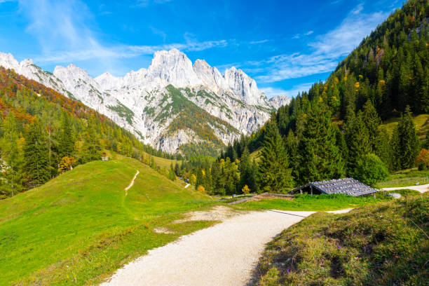 istock footpath in german Alps in Berchtesgaden in Bavaria, Germany 1253683328