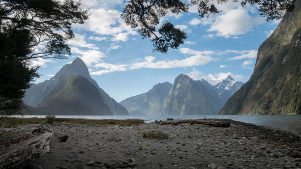 istock Fjord landscape framed by tree branches during the sunny day 1253684993