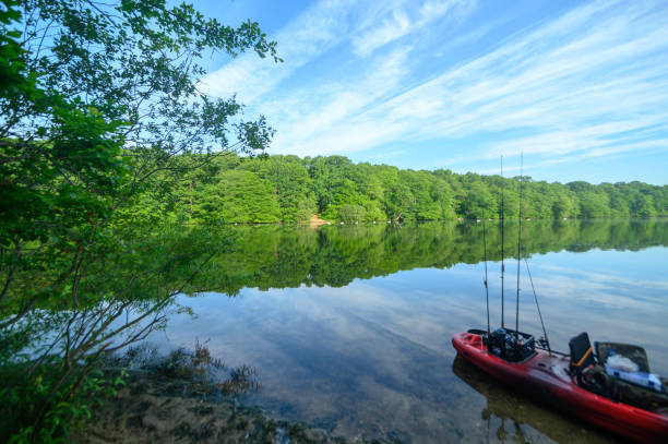 fisherman es view of stump pond #2, blydenburgh county park, smithtown ny - leben im teich stock-fotos und bilder