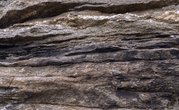 istock ledges on a layered brown rock texture 1253687592