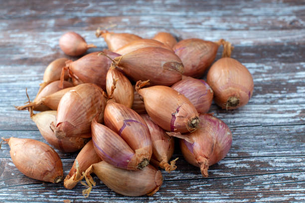 11,133 Peeled Shallot Images, Stock Photos, 3D objects, & Vectors