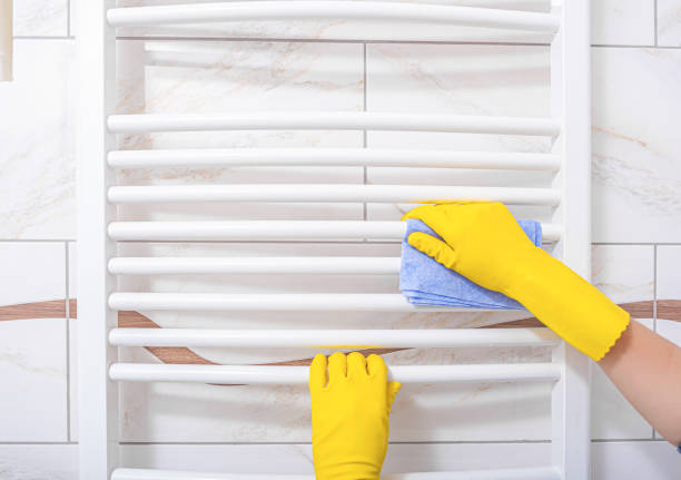 istock A woman washes a bathroom. 1253688407