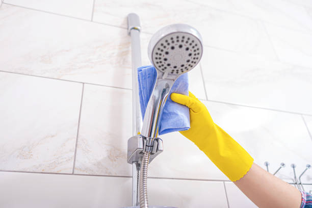 istock A woman washes a bathroom. 1253688433