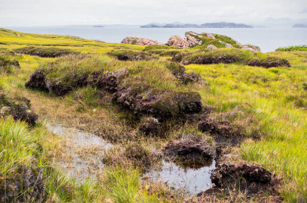 Peat bog wetlands on Scotland's West Coast Peat hags in the coastal landscape of Wester Ross, on Scotland's North West coast. Peat stock pictures, royalty-free photos & images