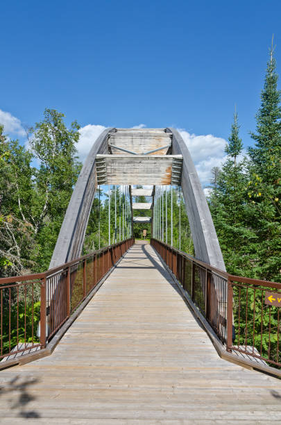 istock Curved wooden bridge 1253690233