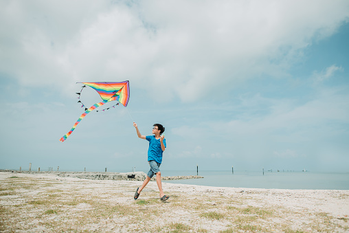 Young Boy Enjoying Learning How To Fly Kite