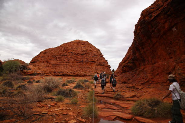 turyści wędrówki w kings canyon outback centralnej australii - alice springs australian culture desert kings canyon zdjęcia i obrazy z banku zdjęć