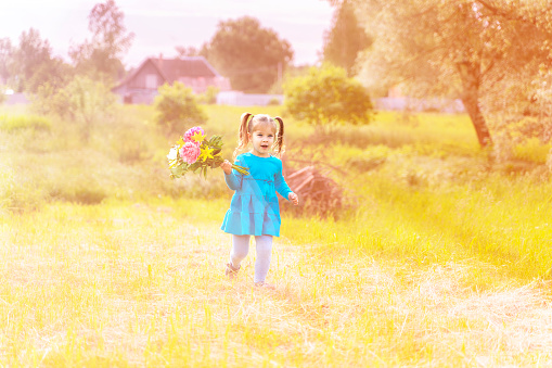 4 years old baby girl in a blue dress walks through the countryside with a large bouquet of flowers in the sun