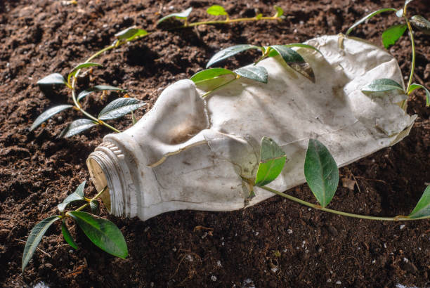 o problema da humanidade é a poluição ambiental com plástico. uma flor furiosa luta quebrando uma garrafa de plástico. conceito de vida - mankind - fotografias e filmes do acervo