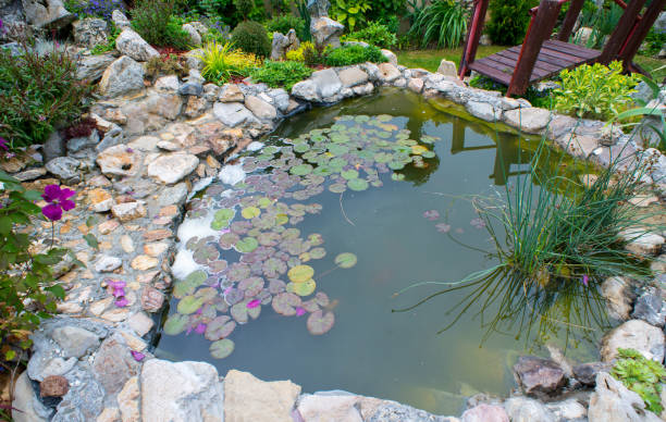 istock Beautiful ornamental Japanese garden 1253695207