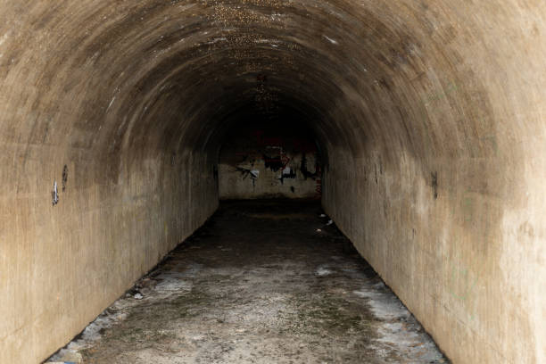 istock an old bunker from the world war 1253696079