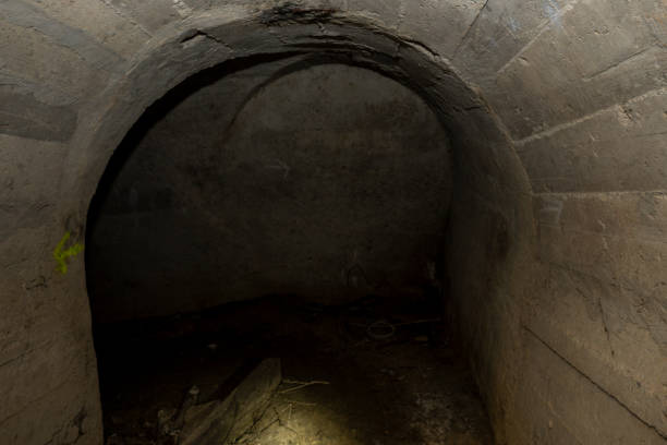 istock an old bunker from the world war 1253696104