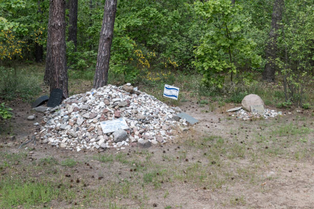 ukamienowanie kamieni w treblince, nazistowskim niemieckim obozie zagłady w okupowanej polsce w czasie ii wojny światowej. - treblinka zdjęcia i obrazy z banku zdjęć