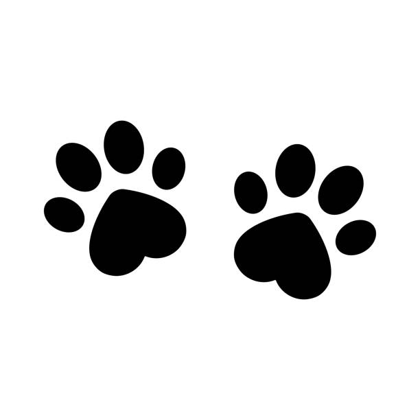 tier-fußabdrücke mit herzformvektor - isolated dog animal puppy stock-grafiken, -clipart, -cartoons und -symbole