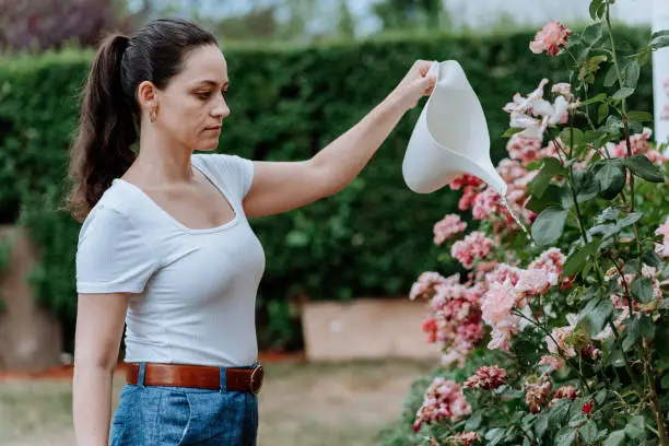 Woman watering plants in the garden