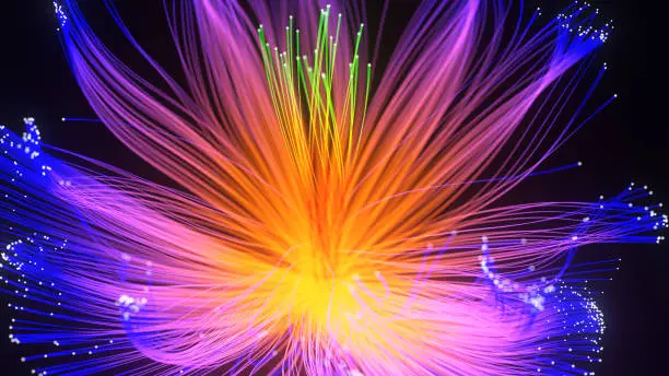 Photo of Abstract light flower