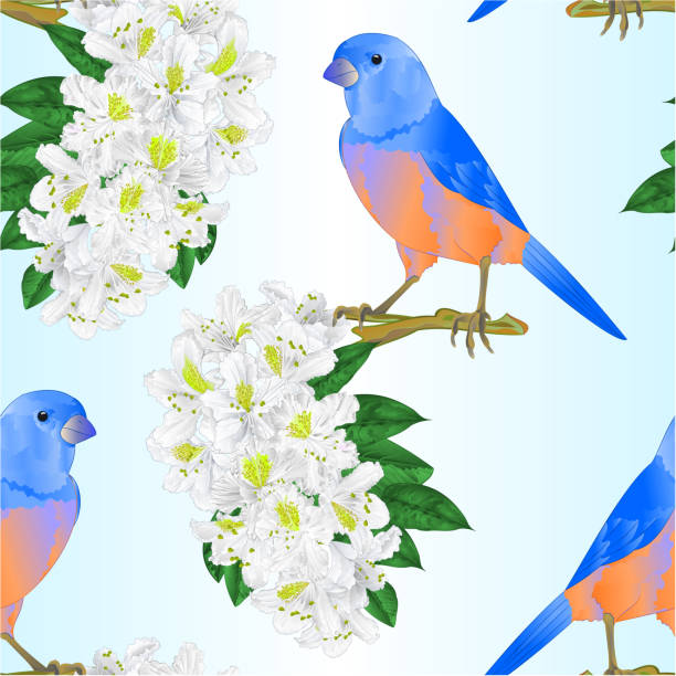 bezszwowa tekstura bluebird i biały wektor rododendronu - spring birdsong bird seamless stock illustrations